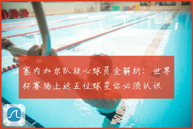 塞内加尔队核心球员全解析：世界杯赛场上这五位球星你必须认识