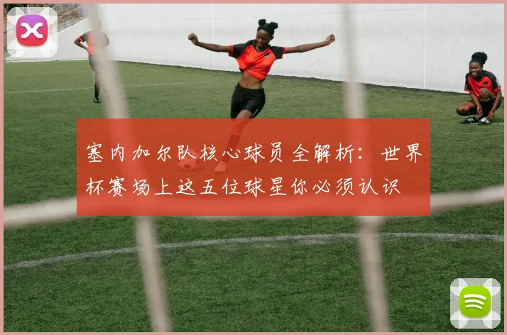 塞内加尔队核心球员全解析:世界杯赛场上这五位球星你必须认识